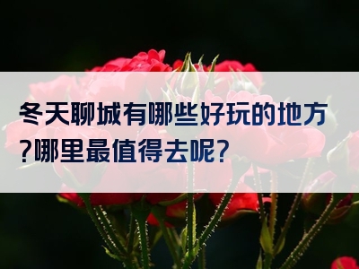 冬天聊城有哪些好玩的地方？哪里最值得去呢？