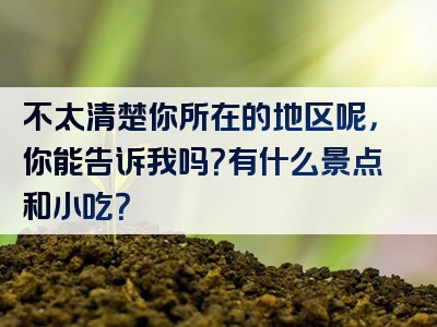 不太清楚你所在的地区呢，你能告诉我吗？有什么景点和小吃？