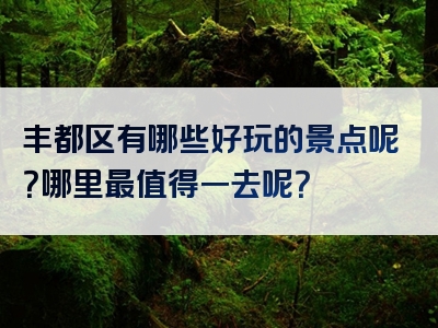 丰都区有哪些好玩的景点呢？哪里最值得一去呢？