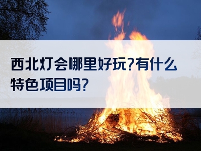 西北灯会哪里好玩？有什么特色项目吗？