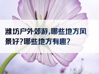 潍坊户外郊游，哪些地方风景好？哪些地方有趣？