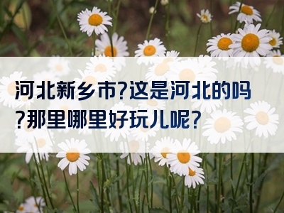 河北新乡市？这是河北的吗？那里哪里好玩儿呢？
