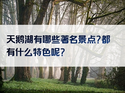 天鹅湖有哪些著名景点？都有什么特色呢？