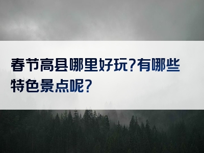 春节高县哪里好玩？有哪些特色景点呢？