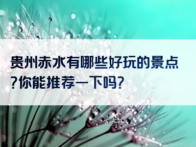 贵州赤水有哪些好玩的景点？你能推荐一下吗？