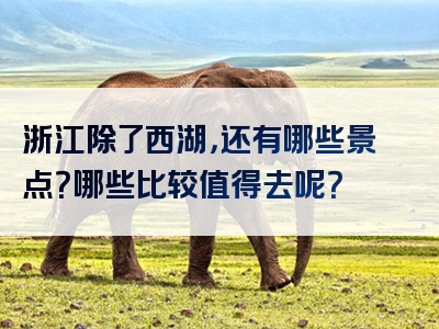 浙江除了西湖，还有哪些景点？哪些比较值得去呢？