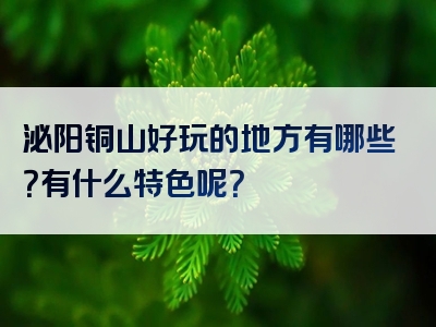 泌阳铜山好玩的地方有哪些？有什么特色呢？