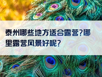 泰州哪些地方适合露营？哪里露营风景好呢？