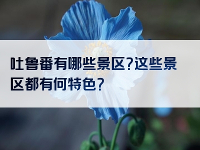 吐鲁番有哪些景区？这些景区都有何特色？