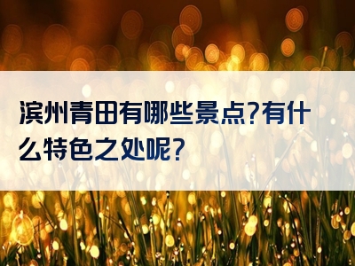 滨州青田有哪些景点？有什么特色之处呢？