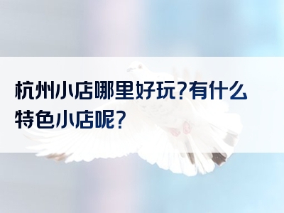 杭州小店哪里好玩？有什么特色小店呢？