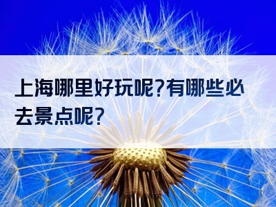 上海哪里好玩呢？有哪些必去景点呢？