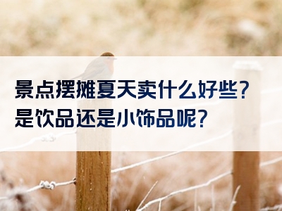 景点摆摊夏天卖什么好些？是饮品还是小饰品呢？