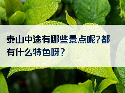 泰山中途有哪些景点呢？都有什么特色呀？