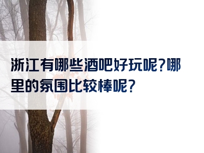 浙江有哪些酒吧好玩呢？哪里的氛围比较棒呢？
