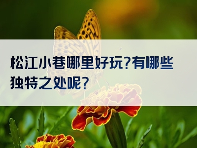 松江小巷哪里好玩？有哪些独特之处呢？