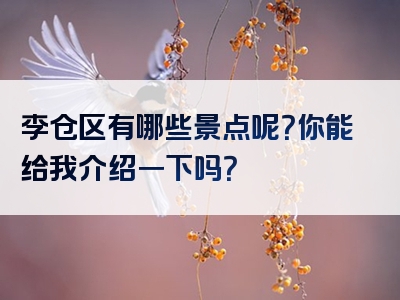 李仓区有哪些景点呢？你能给我介绍一下吗？