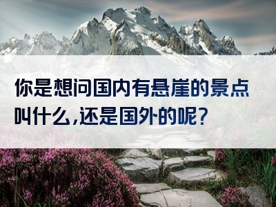 你是想问国内有悬崖的景点叫什么，还是国外的呢？