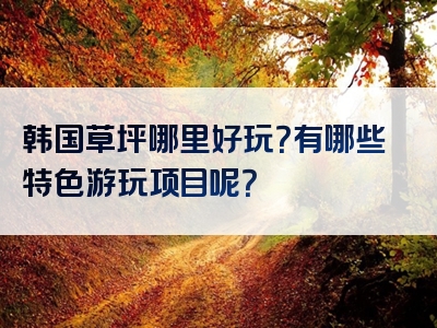 韩国草坪哪里好玩？有哪些特色游玩项目呢？
