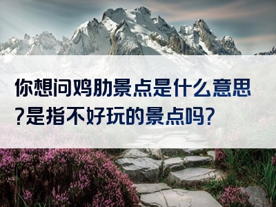 你想问鸡肋景点是什么意思？是指不好玩的景点吗？