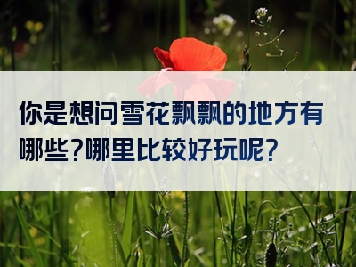 你是想问雪花飘飘的地方有哪些？哪里比较好玩呢？