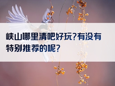 峡山哪里清吧好玩？有没有特别推荐的呢？