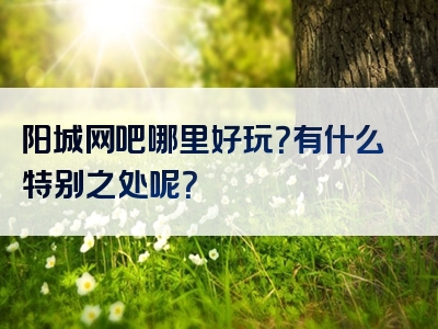 阳城网吧哪里好玩？有什么特别之处呢？