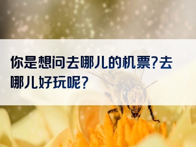 你是想问去哪儿的机票？去哪儿好玩呢？