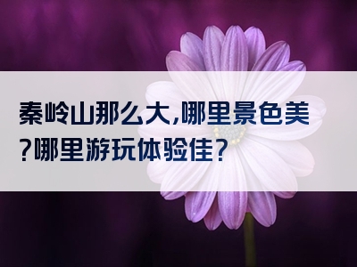 秦岭山那么大，哪里景色美？哪里游玩体验佳？