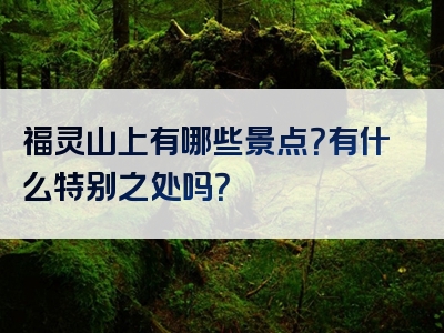 福灵山上有哪些景点？有什么特别之处吗？