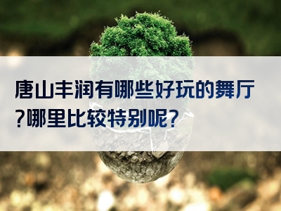 唐山丰润有哪些好玩的舞厅？哪里比较特别呢？