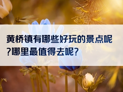 黄桥镇有哪些好玩的景点呢？哪里最值得去呢？