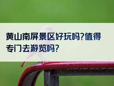 黄山南屏景区好玩吗？值得专门去游览吗？