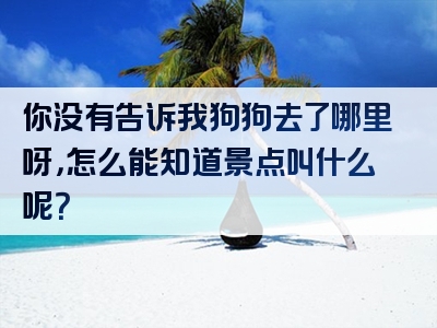 你没有告诉我狗狗去了哪里呀，怎么能知道景点叫什么呢？