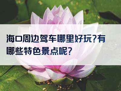 海口周边驾车哪里好玩？有哪些特色景点呢？
