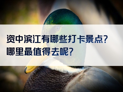 资中滨江有哪些打卡景点？哪里最值得去呢？