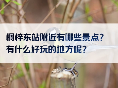 桐梓东站附近有哪些景点？有什么好玩的地方呢？