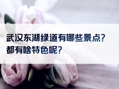 武汉东湖绿道有哪些景点？都有啥特色呢？