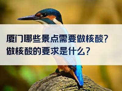 厦门哪些景点需要做核酸？做核酸的要求是什么？