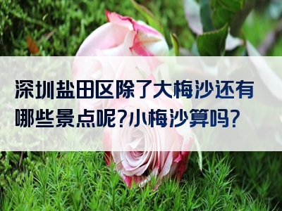 深圳盐田区除了大梅沙还有哪些景点呢？小梅沙算吗？