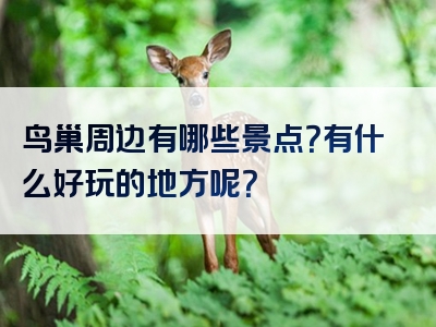 鸟巢周边有哪些景点？有什么好玩的地方呢？
