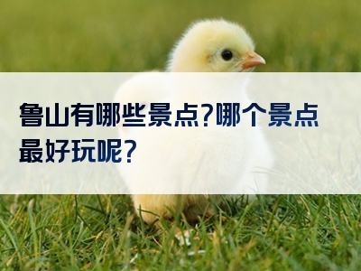 鲁山有哪些景点？哪个景点最好玩呢？
