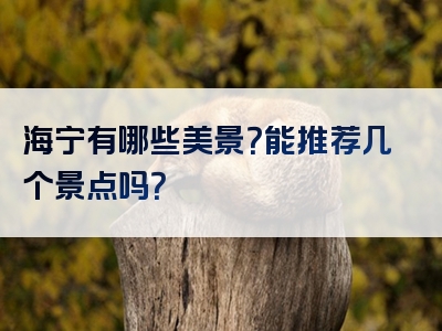 海宁有哪些美景？能推荐几个景点吗？