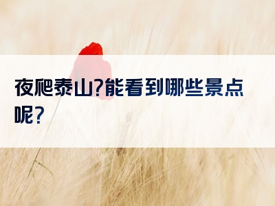 夜爬泰山？能看到哪些景点呢？