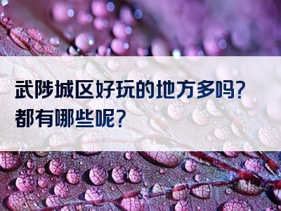 武陟城区好玩的地方多吗？都有哪些呢？