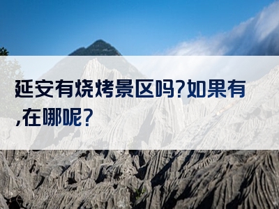 延安有烧烤景区吗？如果有，在哪呢？