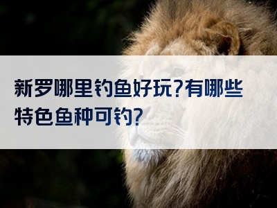 新罗哪里钓鱼好玩？有哪些特色鱼种可钓？