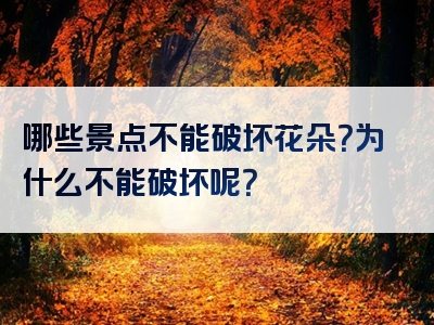 哪些景点不能破坏花朵？为什么不能破坏呢？