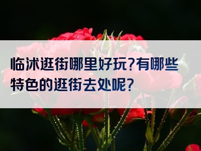 临沭逛街哪里好玩？有哪些特色的逛街去处呢？
