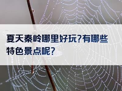 夏天秦岭哪里好玩？有哪些特色景点呢？